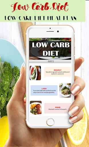 Low Carb Diet Plan Beginner 4