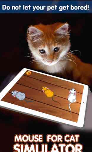 Maus für Katzen-Simulator 2