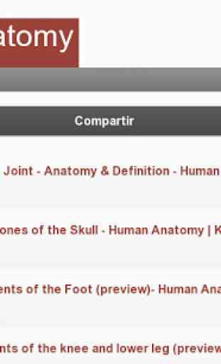 Menschliche Anatomie Lernen 4