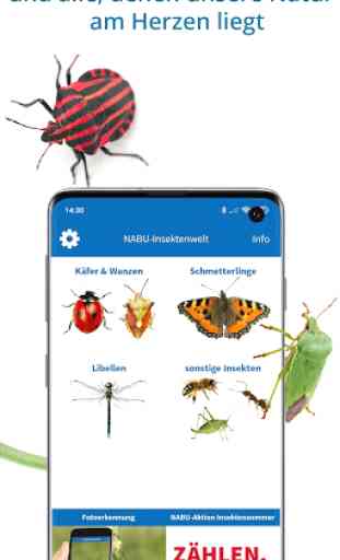 NABU Insektenwelt - Insekten Entdecken & Bestimmen 3