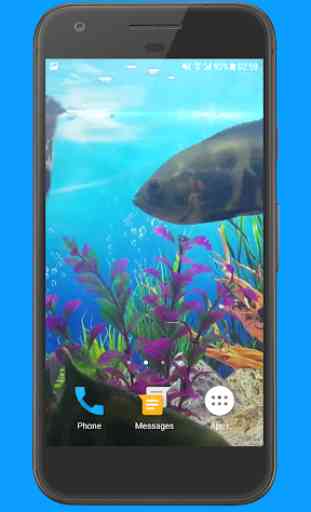 Oscar Fish Aquarium Video 3D 1