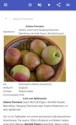 Sorten von Äpfeln 2