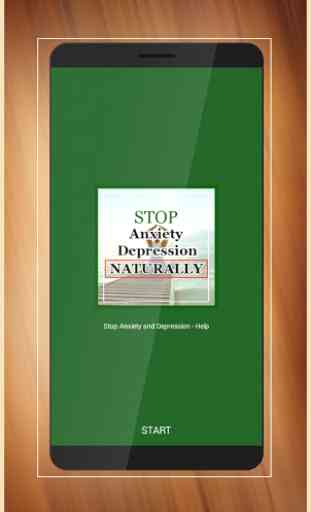Stop Anxiety & Depression Naturally 1