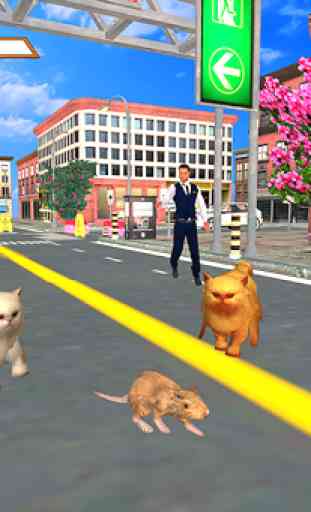 Stray Mouse Family Simulator: City Mice Survival 3