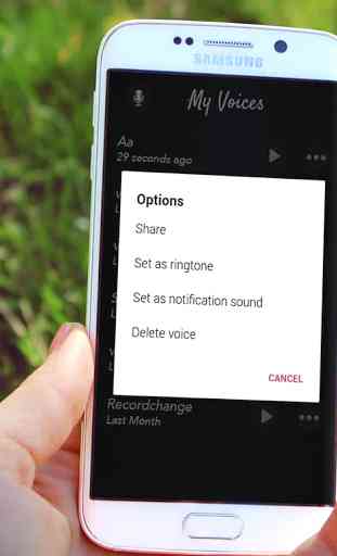 Voice Changer Application 3
