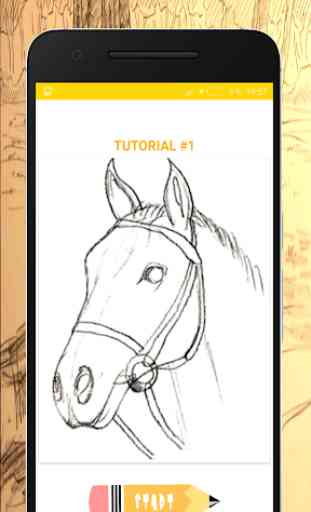 Wie zu Zeichnen-Pferde 2