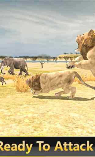 Wilder Löwensafari Simulator 3d 2