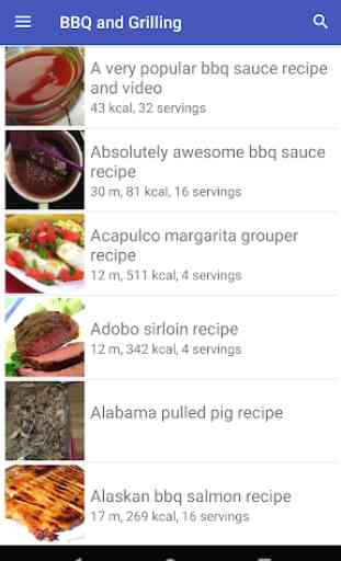 BBQ & Grilling recipes for free app offline 2
