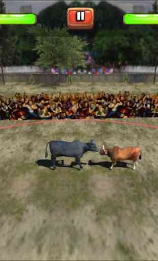 Bull Fight 4