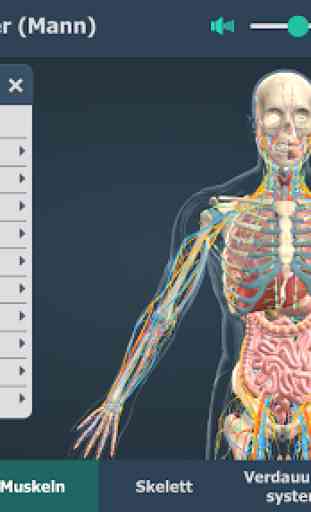 Der menschliche Körper (Mann) Bildungs-3D VR 4