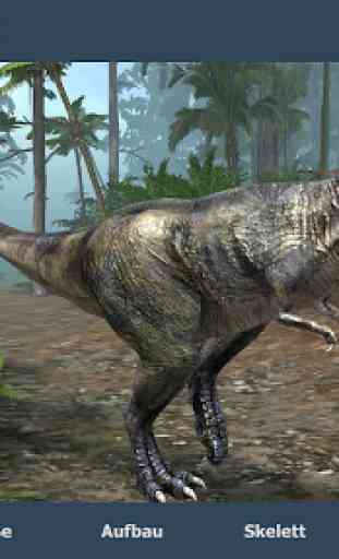 Der Tyrannosaurus rex Bildungs-3D VR 3