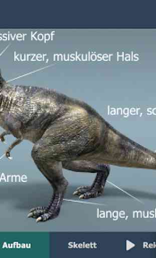 Der Tyrannosaurus rex Bildungs-3D VR 4