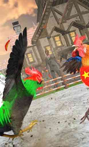 Farm Rooster Fighting Angry Chicks Ring Fighter 2 3