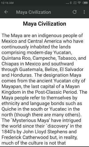 MAYAN CIVILIZATION 3