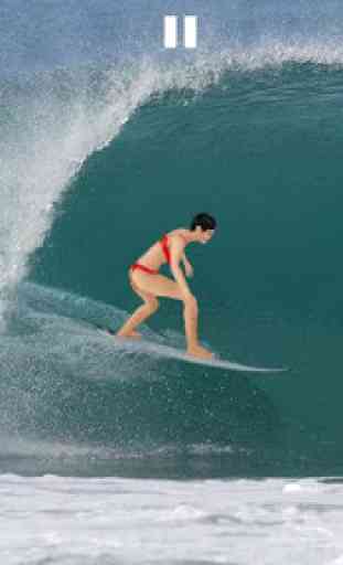 Surfmeister 2