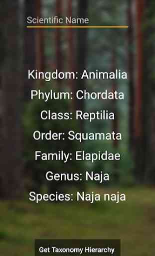Taxonomy 3