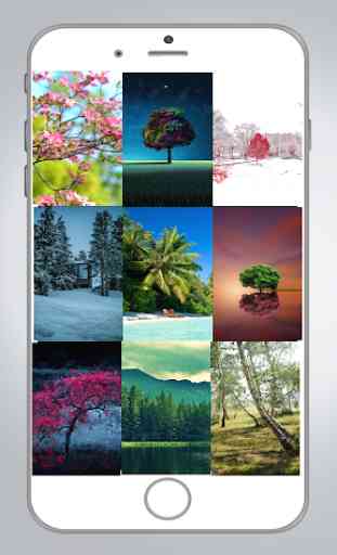 Tree HD Wallpaper 1