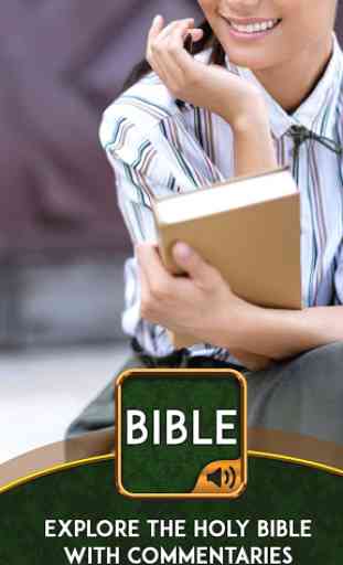 Bible commentary 1