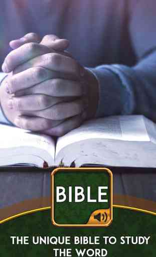 Bible commentary 3