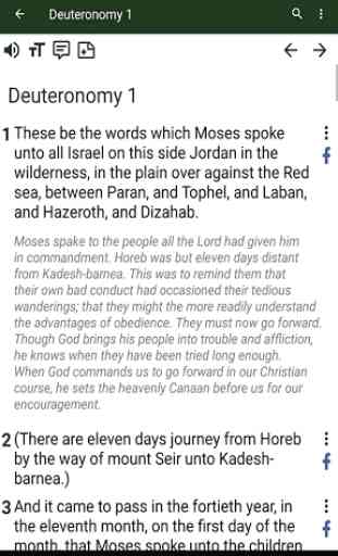 Bible commentary 4