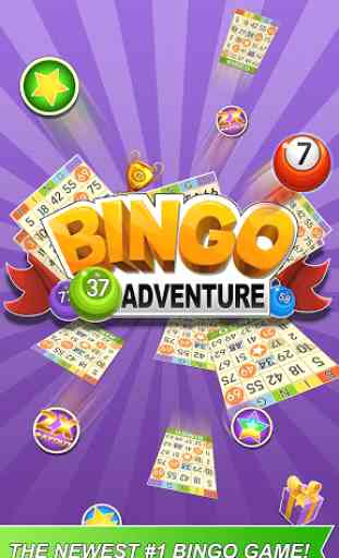 Bingo Abenteuer - Freies Spiel 1