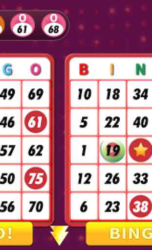 Bingo Classic Game - Offline Free 1