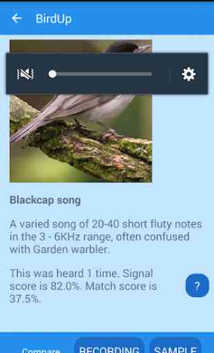 BirdUp - Identifiziere Vogelstimmen 2
