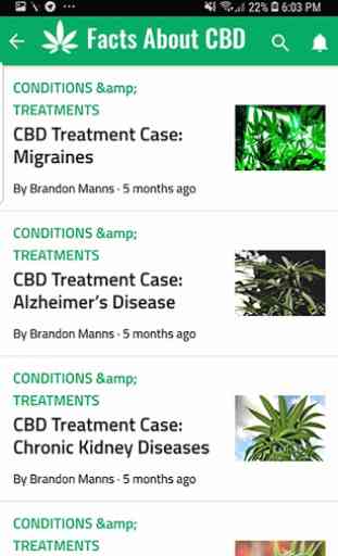 Facts About CBD 2