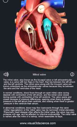 Heart Anatomy Pro. 3