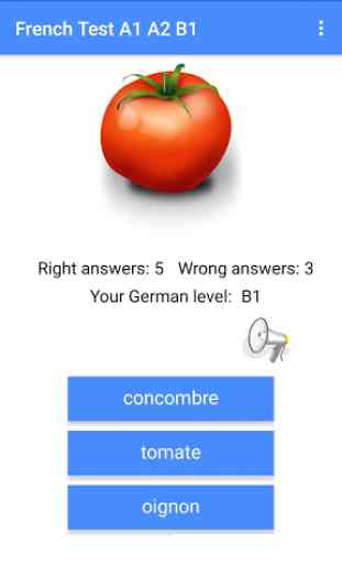 Learn French test A1 A2 B1, Grammar, Word trainer 1