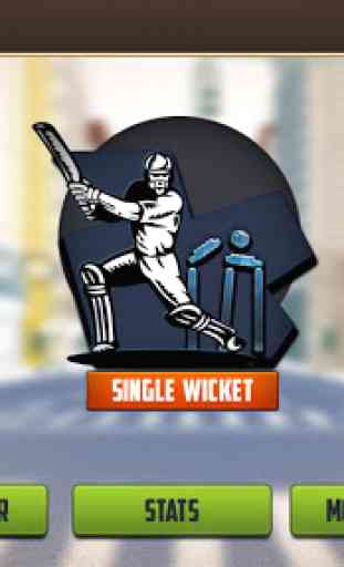 Street Cricket-Turnier 2019: Live-T20-Weltcup 4