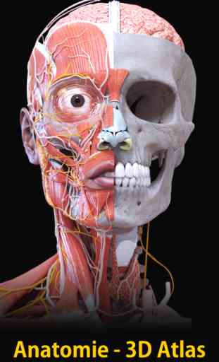 Anatomie - 3D Atlas 1
