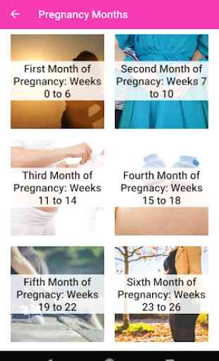 Schwangerschaftsrechner und Wochen 4