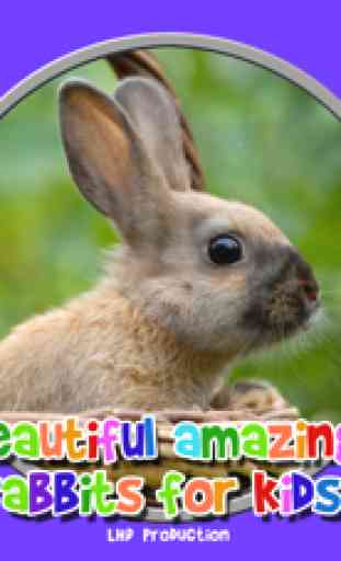 schöne erstaunliche Kaninchen für Kinder - freies Spiel 4