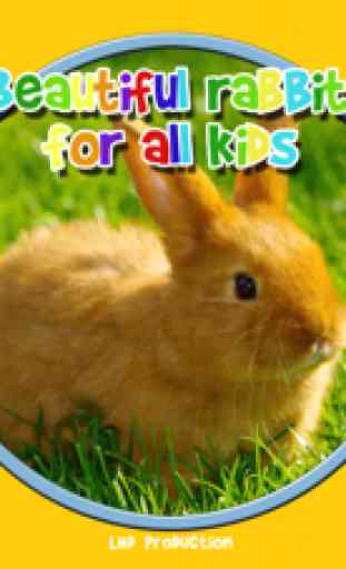 schöne Kaninchen für alle Kinder - kostenlos spielen 1