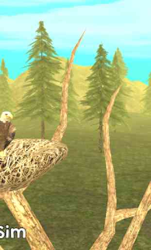 Wild Eagle Sim 3D 1