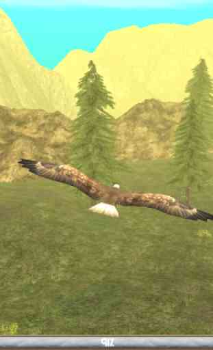 Wild Eagle Sim 3D 3