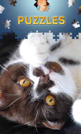 Katzen Puzzle Kostenlos 2