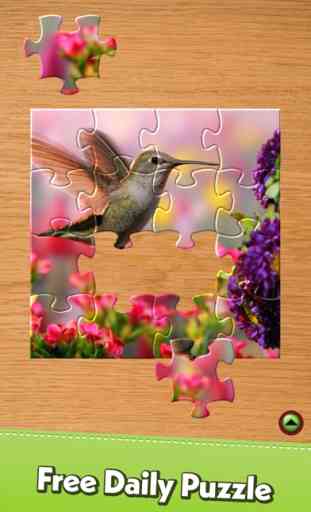 Jigsaw Puzzle: Denk & Logik 2