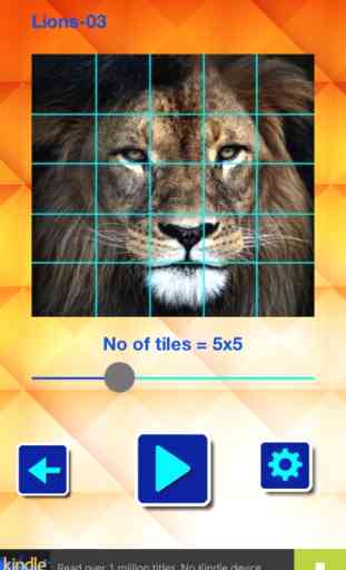 Lions und Big Cats - Puzzle Slide 3