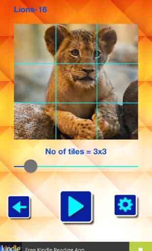Lions und Big Cats - Puzzle Slide 4
