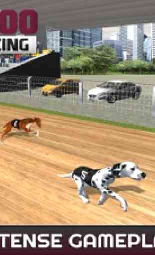 Sprint 100 m Hund Rennen: Rennen Hunde auf Schiene 1