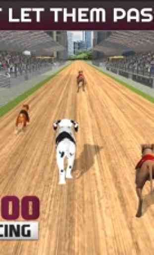 Sprint 100 m Hund Rennen: Rennen Hunde auf Schiene 4