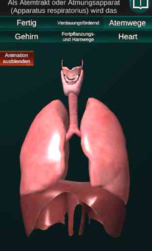Inneren Organe 3D (Anatomie) 2