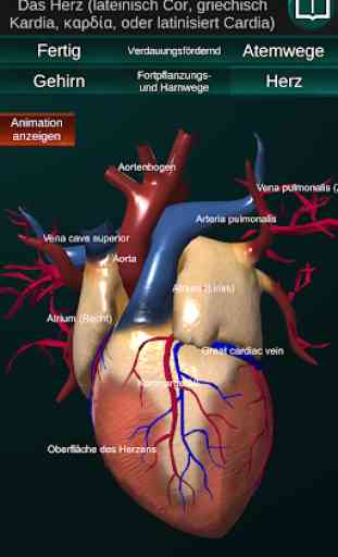 Inneren Organe 3D (Anatomie) 3