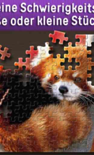 Jigsaw Puzzle Welt 1