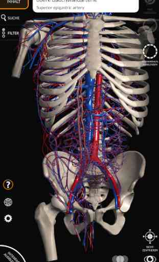 Anatomie - 3D Atlas 2