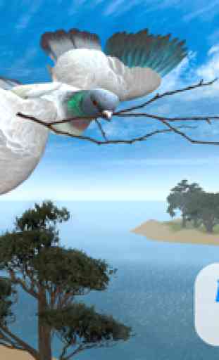 Tauben Vogel Überleben Simulator 3D 1