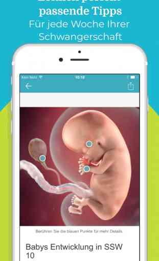 Schwangerschaft & Baby App 2